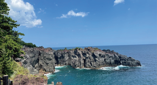 社員旅行@伊豆 2024 - 照片2